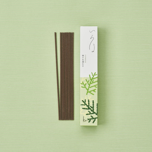 いろは 檜の木漏れ日