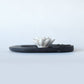 香皿デザインコンテスト2019受賞　香皿「Water Lily」